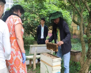 Thăm Trung tâm nghiên cứu Ong và nuôi Ong nhiệt đới