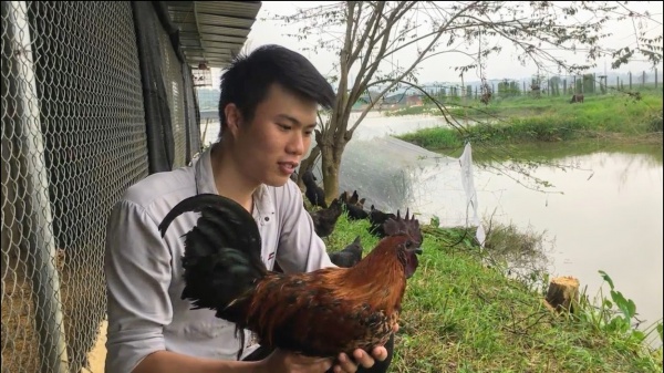 Nguyễn Thanh Bình – Chàng trai khóa 59 khoa Kinh tế và Phát triển nông thôn khởi nghiệp thành công với giống gà H’Mông 
