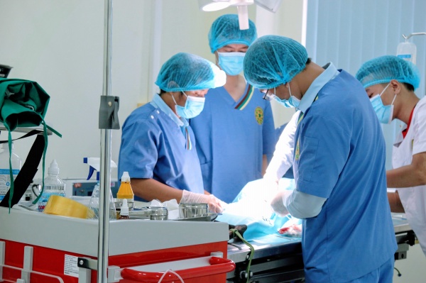Đội ngũ chuyên gia bác sĩ, dược sĩ tại Bệnh viện Thú y có trình độ chuyên môn cao, giàu kinh nghiệm, được đào tạo bài bản từ nhiều quốc gia trên thế giới