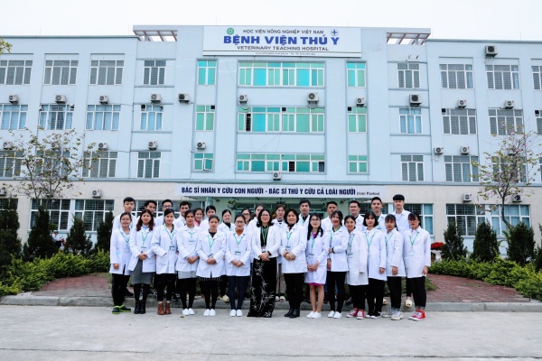 Bệnh viện Thú y, Học viện Nông nghiệp Việt Nam – Địa chỉ tin cậy cho thú cưng của bạn